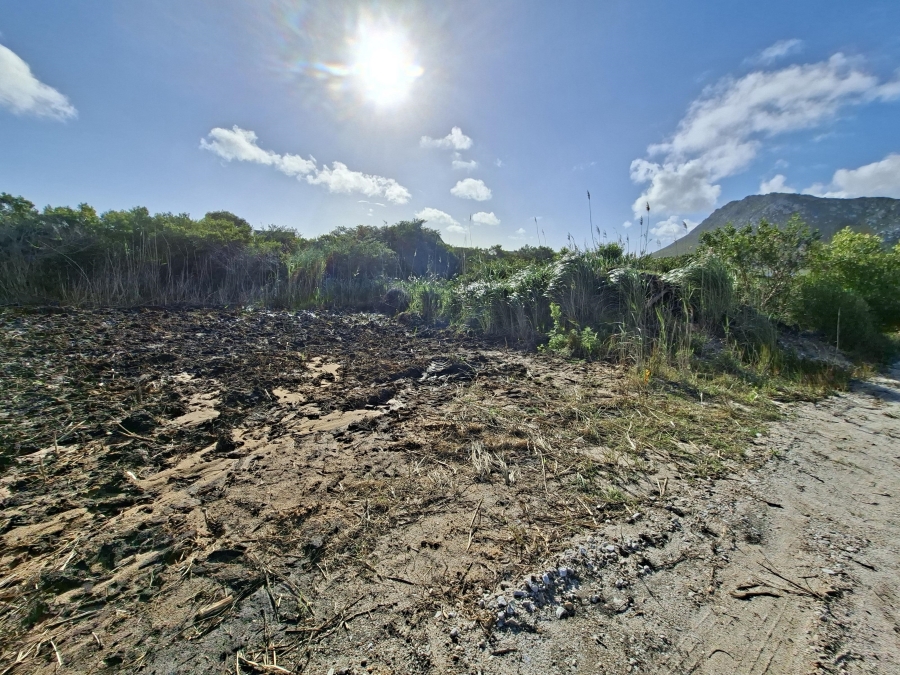 0 Bedroom Property for Sale in Pringle Bay Western Cape